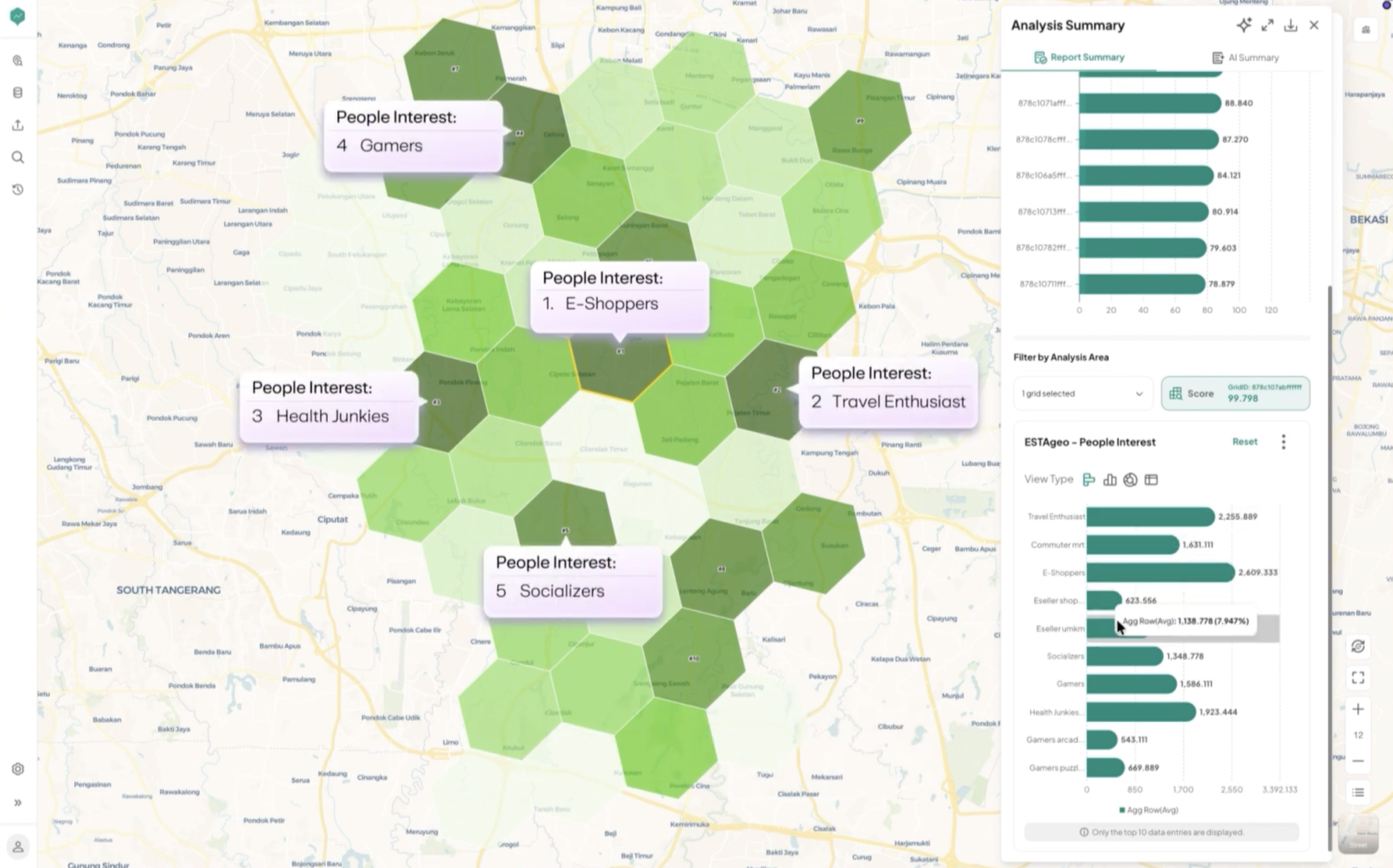 ESTAgeo grid analysis heatmap of an area with an analysis summary panel showing property and demographic breakdowns